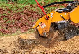 Best Lot and Land Clearing  in Northdale, FL
