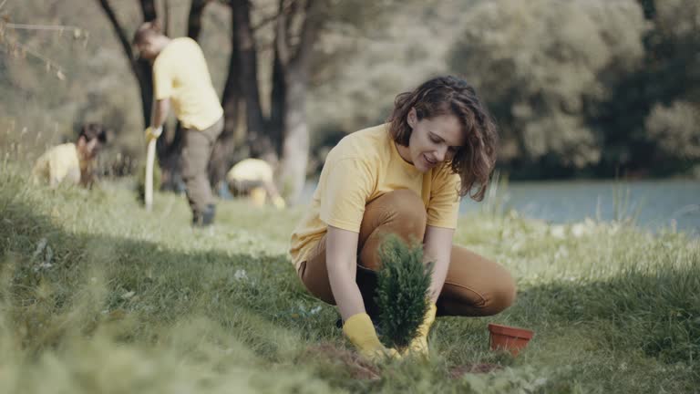 Best Pest Control for Lawns  in Northdale, FL